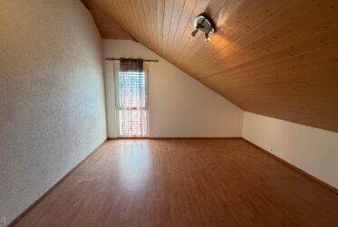 Magnifique villa avec jardin et piscine à Vernier