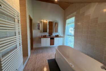 Magnifique villa avec jardin et piscine à Vernier