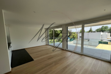 Magnifique appartement en copropriété à Cologny