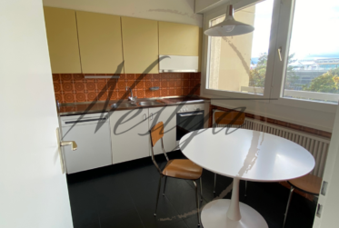 Appartement meublé de 2 pièces proche du centre Balexert