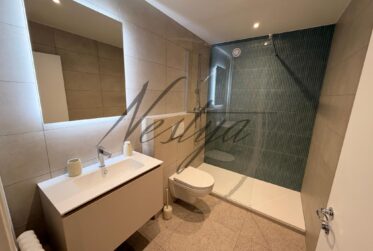 Duplex rare au cœur de la Vieille-Ville à Grand-Rue