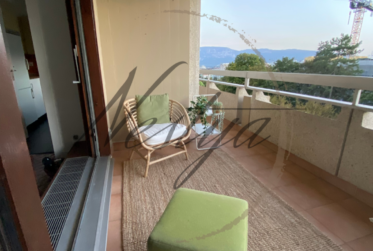 Appartement meublé de 2 pièces proche du centre Balexert